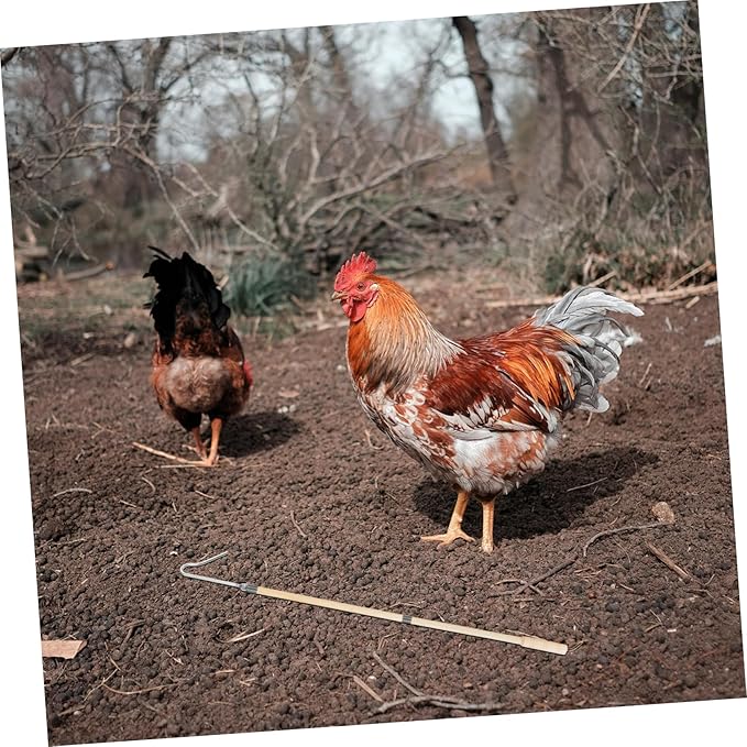 Happyyami Chicken Accessories Chicken Catcher Hook for Chicken Poultry Hanging Hooks Animal Catch Net for Chicken Legs