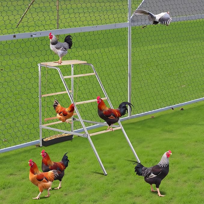 Outdoor Chicken Perch,Chicken Roosting Ladder with Leg Bands,Chicken roosting Bars, Chicken Coop, Suitable for Chicken Run and Chicken Perch, Backyard Poultry, Farm Roost for Chickens