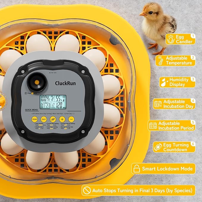 Chicken & Quail Egg Incubator, Dual Egg Trays, Automatic Egg Turning with Auto Stop, Humidity Control, Adjustable Incubation Day & Period, Automatic Water Refill, Egg Candler, Air Vent, Clear View