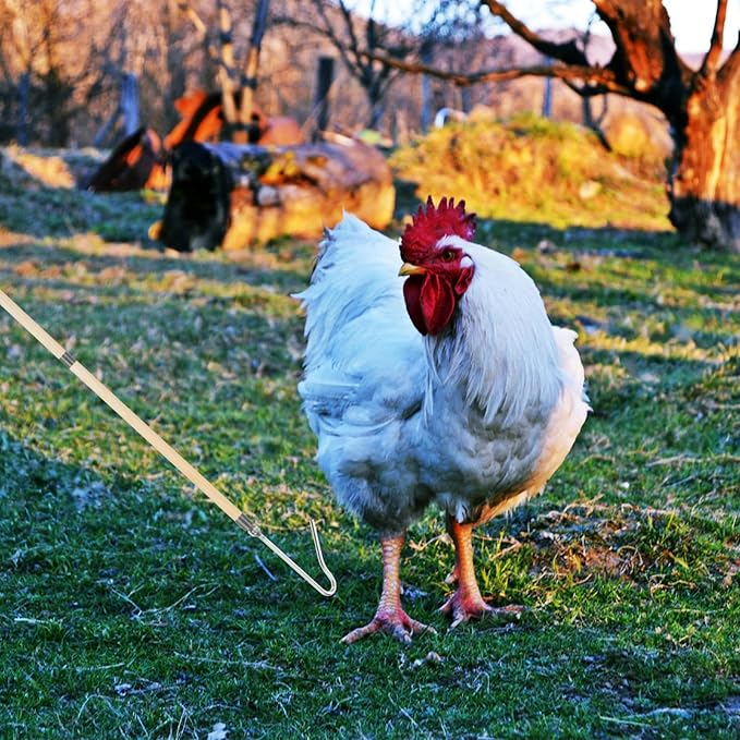 Hemoton Heavy Duty Chicken Catcher Hook Pole for Poultry Handling Durable Tool for Efficient Chicken Duck Goose Capture Farms Easy to Use Construction