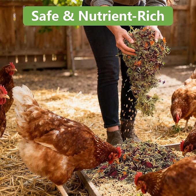 10 Oz Chicken Nesting Herbs, 8 Dried Flowers & Herb Supplement for Chickens Coop, Natural Freshener to Improve Egg Production, Feather Quality & Hen Wellness for Laying Hens