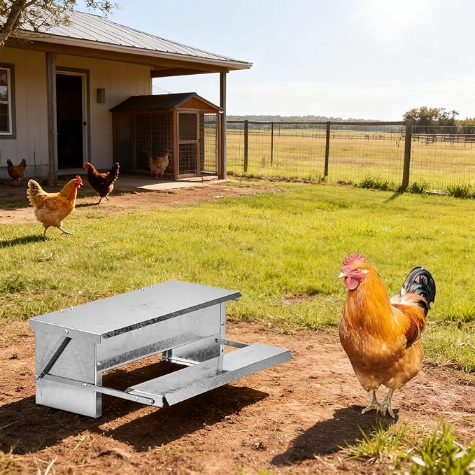 Large Capacity Chicken Grit and Oyster Shell Feeder,Rodent Proof No Waste Treadle Chicken Feeder,Galvanized Metal Poultry Duck Feeders,with Weatherproof Lid,for Chickens Hens Ducks (Silver)