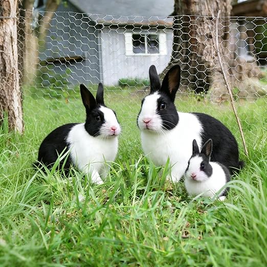 Galvanized Chicken Wire Mesh Fencing 14'' x 20', Anti-Rust Hexagonal Net for Outdoor Gardening, Protect Plants/Vegetables/Flowers/Fruits from Dogs, Rabbits, Squirrels