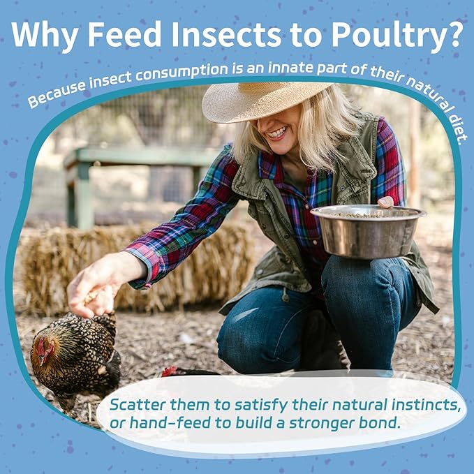 5LB Dried Black Soldier Fly Larvae for Chickens - 85X More Calcium Than Mealworms for Strong Eggshells, High-Protein Chickens Treats for Laying hens, Birds, Ducks