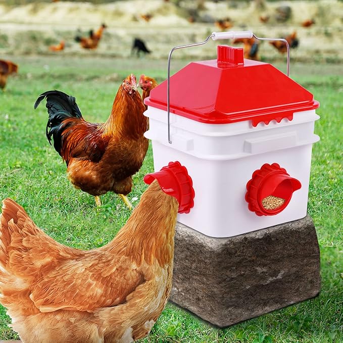 10 Pounds Chicken Feeder with 4 Ports, Rainproof Poultry Feeder for Up to 10 Adult Chickens or 15 Chicks （Patented Products）