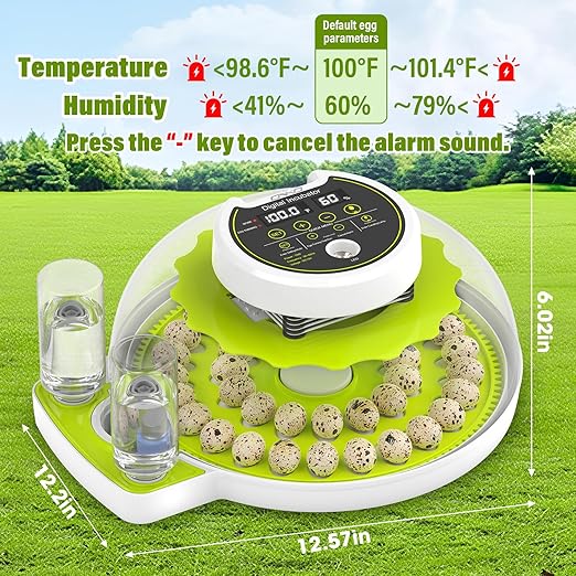 Quail Egg Incubator for Hatching 40 Quail Eggs with Automatic Turner and Humidity Control, Small Quail Brooder, Outdoor Poultry Egg Incubator, Suitable for Quail Parrot Canary and Other Bird