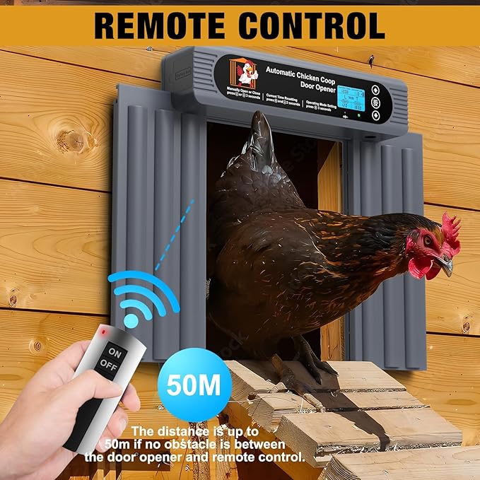 Automatic Chicken Coop Door, Extra Large Size, Anti-Pinch Design,Programmable Timer & Light Sensor Modes, Large LCD Display, Solar Powered Auto Chicken Door Opener with Remote Control (50m)