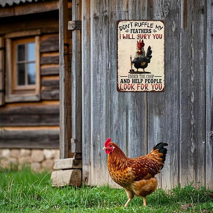 Funny Chicken Signs Don't Ruffle My Feathers Metal Signs Decor Home Kitchen Farm Art Wall 12x8 Inch Vintage Chicken Signs For Garden Coop Outside Backyard