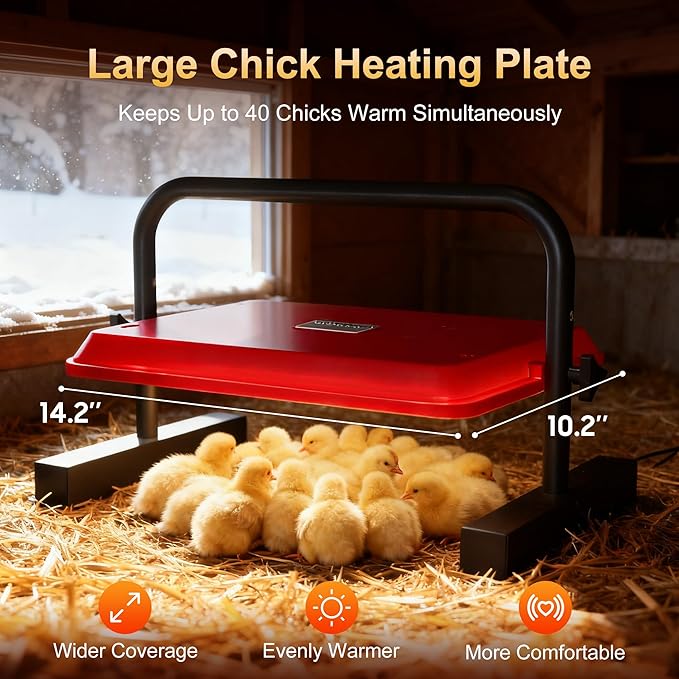Chick Heat Plate, 15" x 10"Large Brooder Heating Plate for Poultry, Safe Chicken Brooder Heater, Chick Warmer, 60W, 3 Levels, Fast & Even Heating, 3 Adjustable Height/Angle, Energy-Saving