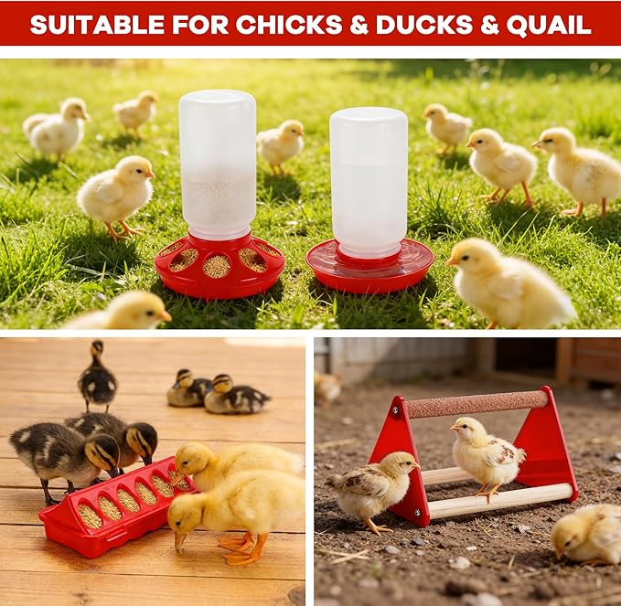 Chicken Feeder and Waterer Set, Chick Starter Kit with Chick Perch