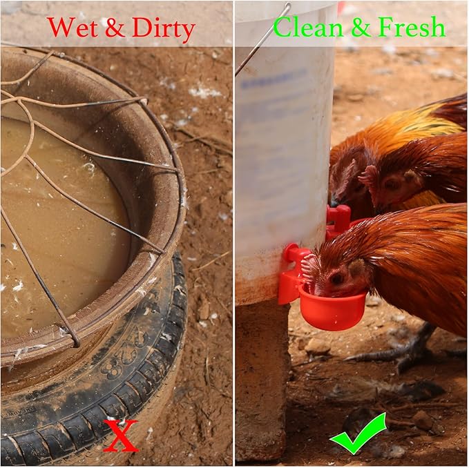 Chicken Water Cups, 6pcs Automatic Chicken Water Feeder, Poultry Waterer Kit Suitable for Chicks, Duck, Goose, Turkey and Bunny, 6-Pack