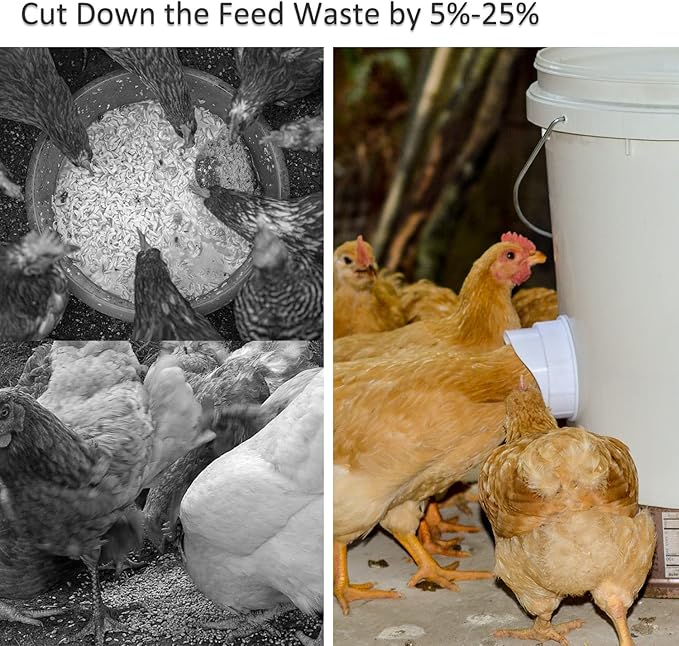Automatic Chicken Feeder and Waterer Set Hanging Chicken Feeder No Waste Poultry Feeder 3 Gallon Water Feeder
