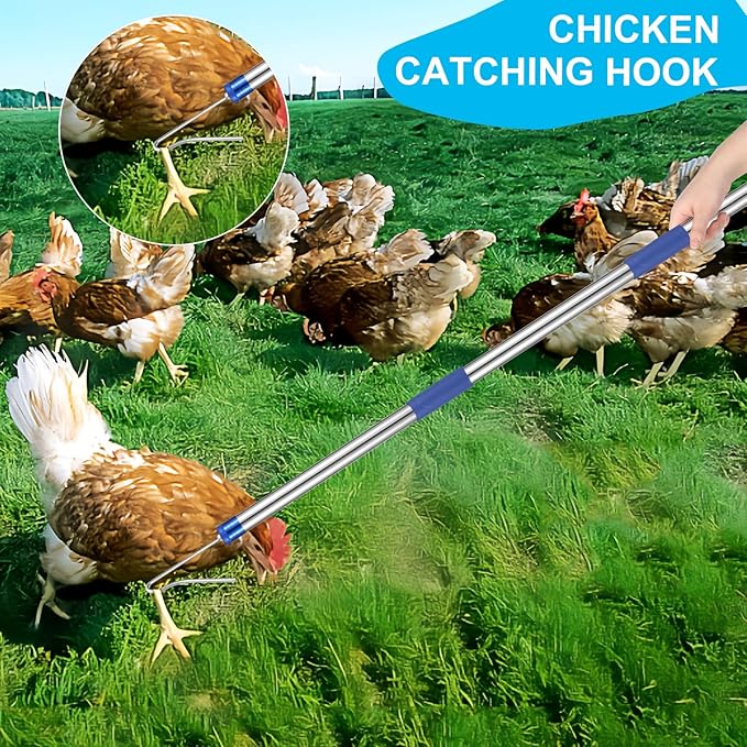 Chicken Catching Net ,Chicken Catcher Leg Hook , Extendable from 33" to 75.5" Made of Stainless Steel TubeSuitable for Catching Small Duck,Goose,Bird, Skunk Bat and Fishnet etc,（15.3 x 23.2 Inch Net）