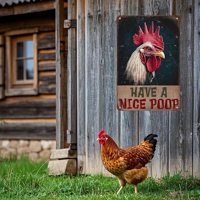 Vintage Chickens Have A Nice Poop Metal Tin Sign 12x8 Inch Chicken Funny Metal Poster Funny Chicken Tin Sign Home Kitchen Garden Bar Pub Restaurant Bathroom Are Wall Decor