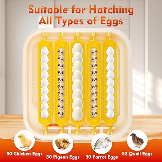 Incubators for Hatching Egg 30 Eggs Automatic Egg Turning & Humidity Control Egg Candler, Digital Temperature Display, Humidity Control&Alarm, Auto Water Chicken Quail Hatcher 110V/12V Dual Power