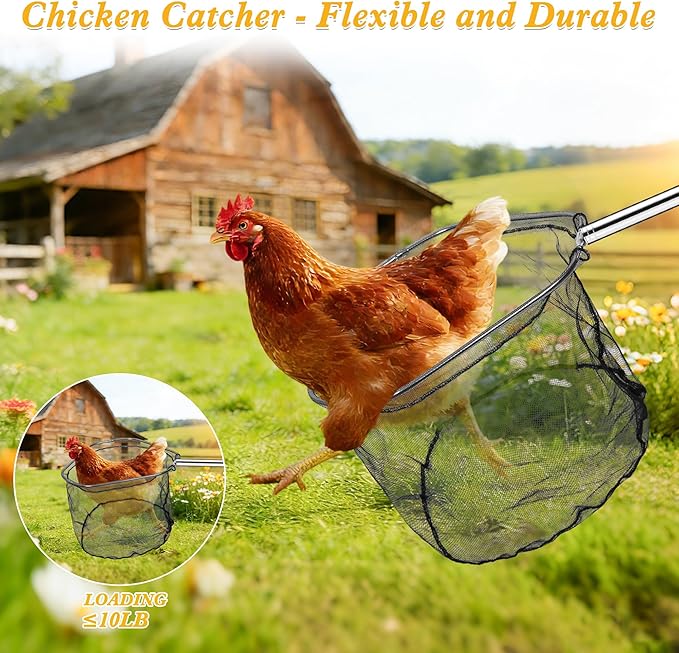 4PCS Chicken Catching Net, Adjustable Chicken Net Catcher, Chicken Catcher Leg Hook, Suitable for Chickens, Birds, Goose, Duckling, Fish, Cats (2 Nets, 1 Pole, 1Hook)