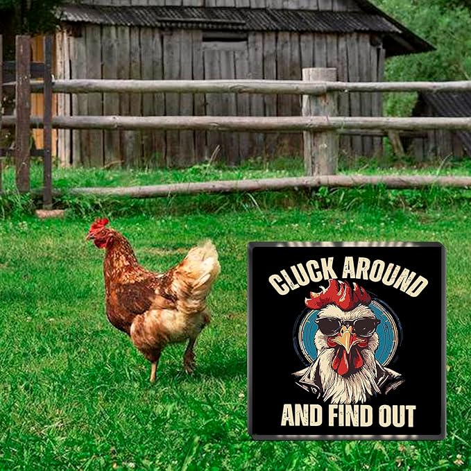 Chicken Gifts For Women Chickens Lovers Mom Kids Man Vintage Acrylic Plaque Desk Decoration Chicken Coop Accessories Farmhouse Wall Decor Cluck Around And Find Out Sign For Home Kitchen Garden