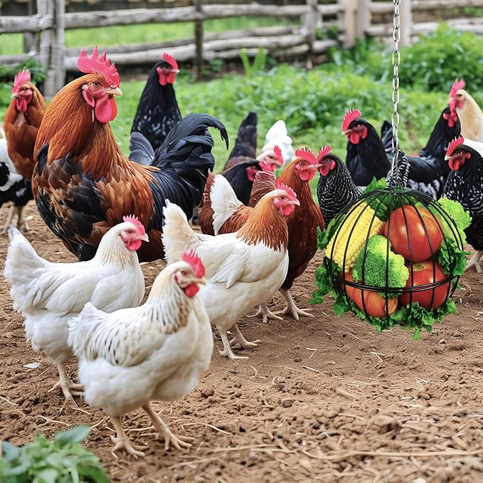 Hanging Chicken Feeder,7.4 Inch Large Chicken Vegetable Hanging Feeder,Metal Chicken Ball Cage with 19.6 Inch One Stainless Steel Chain (1 Pack)