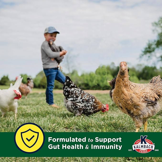Kalmbach Feeds Henhouse Reserve® Whole Grain Layer Feed with Crumbles for Poultry