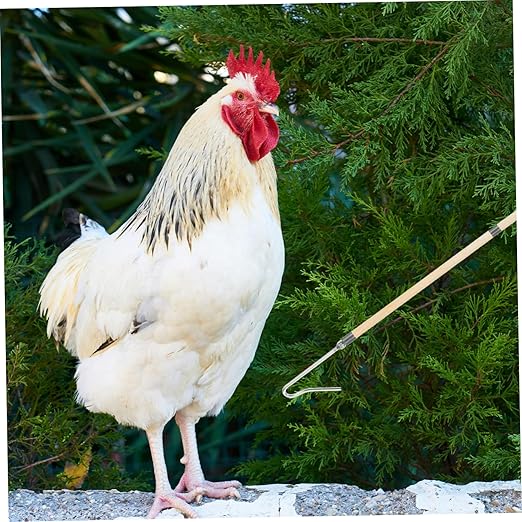 Chicken Catcher Leg Hook Farm Equipment Poultry Management Tool Animal Net for Chicken Supplies