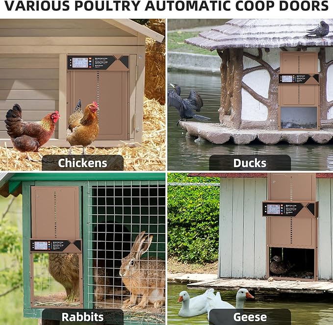 Automatic Chicken Coop Door, 4 Modes LCD Display Chicken Coop Door Solar Powered with Timer & Light Sensor, Aluminum Alloy Automatic Chicken Door with Anti-Pinch, IPX4 Waterproof