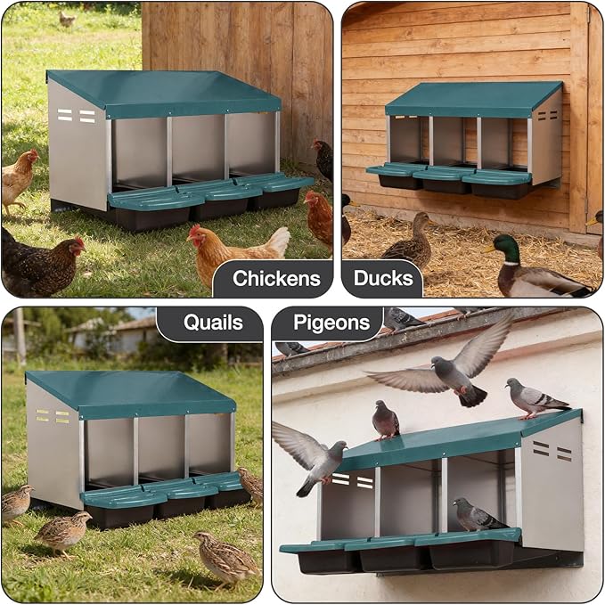 Chicken Nesting Boxes, 3 Compartments Egg Collection with Removable Drawer, Chicken Metal Laying Nest Box for Hens, Easy to Assemble, for Chicken Coop, Green