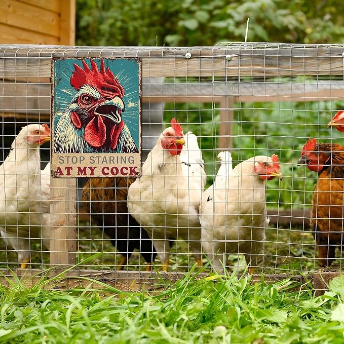 Funny Chicken Vintage Metal Tin Sign for Farm Chicken Coop Farmhouse Wall Decorations 12 * 16inch