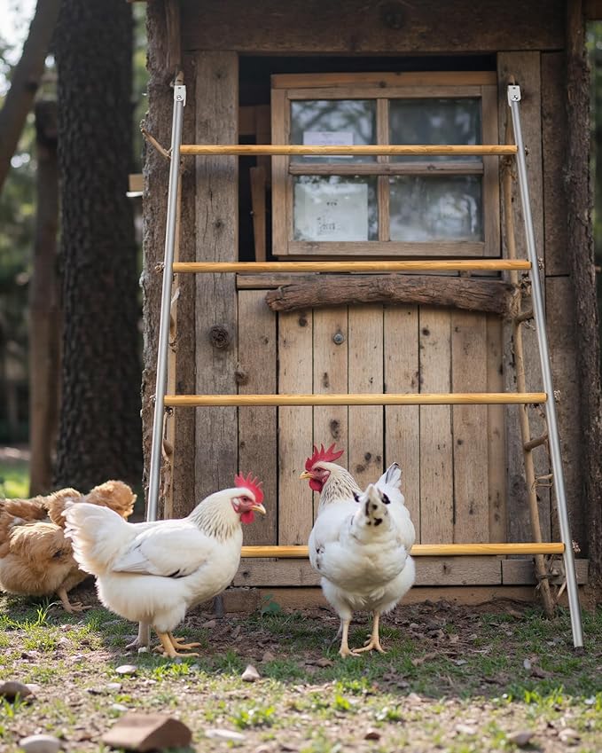 Large Metal Chicken Roosting Perch, Square Roosting Ladder for Outdoor Chicken Coop, Extended Metal Roost for Backyard Poultry Chickens and Small Animals (69" L x 41" W)
