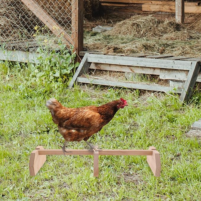 Wooden Hen Roosting Bar Roosting Bars for Chicken Coop Parrot Perch Safe Sturdy Chick Stand