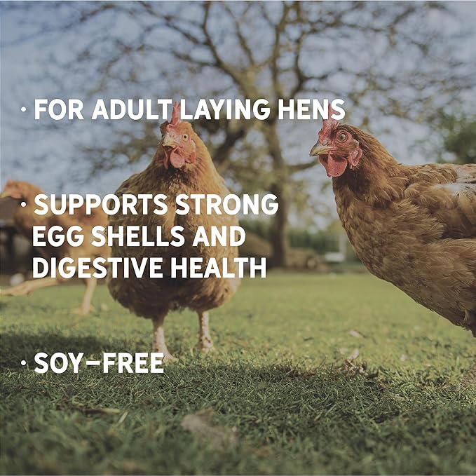 New Country Organics | Layer Pellets for Laying Hens | Soy-Free | 17% Protein | Certified Organic and Non-GMO | 35 lbs