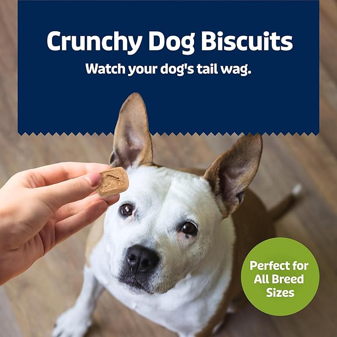 Blue Buffalo Mini Health Bars Crunchy Dog Biscuits, Oven-Baked with Natural Ingredients, Apples & Yogurt, 2-lb Box