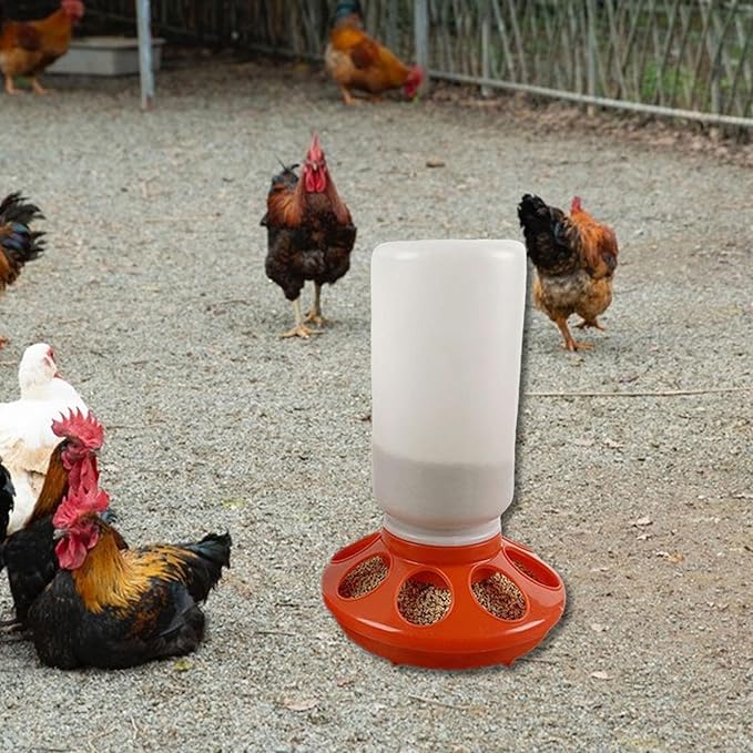 Chicken Feeder Waterer Supplies Chicken Coop Accessories Chicks Backyard Easy Use Portable Hen Pigeon Red Starter Kit, 300 g