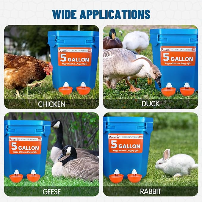 20 Pack Large Automatic Chicken Waterer Cups | Chicken Water Feeder | Poultry Water Feeder Kit | Tee Fittings Poultry Feeder Cups for Chicks, Duck, Turkey, Goose
