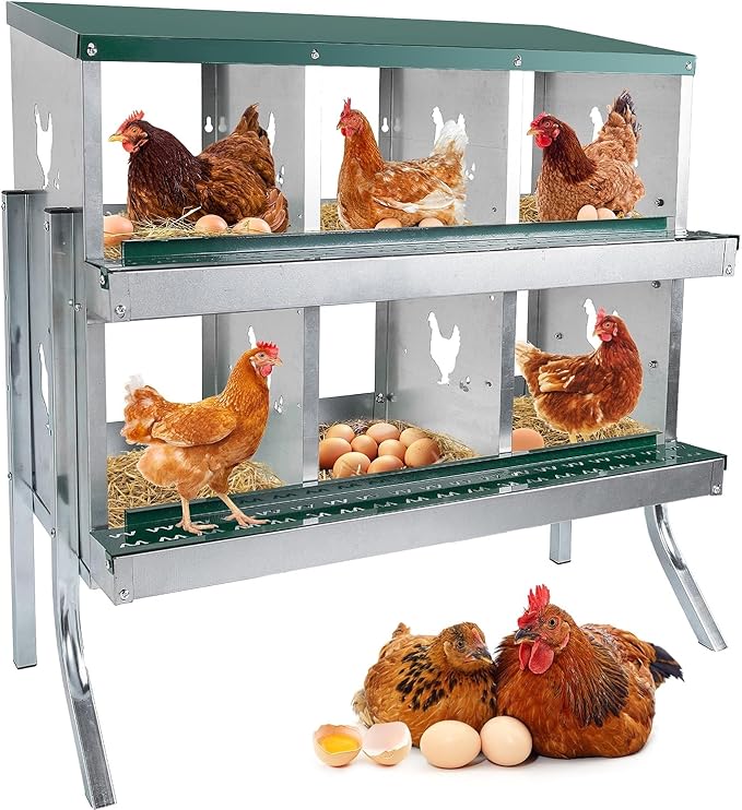 6 Compartment Chicken Nesting Box with Elevated Metal Legs - Heavy Duty Roll Away Egg Collection, Secure Lid & Perch - Versatile Wall Mount or Free Standing Design for Chickens, Hens, Ducks