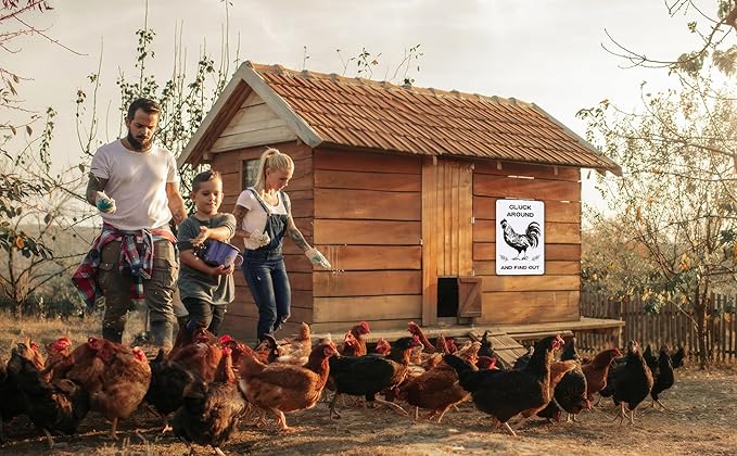 Chicken Coop Signs, Cluck Around and Find Out, Metal Signs for Farmhouse, Garden, or Kitchen Decor, Chicken Signs for Coops and Farms(8" x 12")