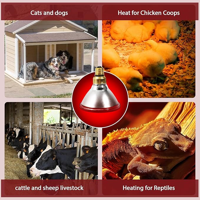 Heat Lamp, 175W Heat lamp Bulbs, PAR38 Infrared Heat lamp, Halogen Heat for Food Service, Brooder Bulb, Chicks, Pet, Bathroom, Light Therapy Use E26 Base, Flood Light Heat Lamp. 1 Pack