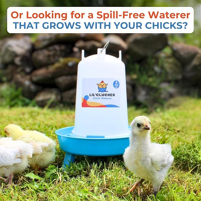 Lil'Clucker 1L Chick Feeder, 1.5L Chicken Waterer - No Leakage Chick Feeder and Waterer Kit, Durable Chicken Water Feeder, Chicken Feeder and Waterer Set, Poultry Waterer (Blue)