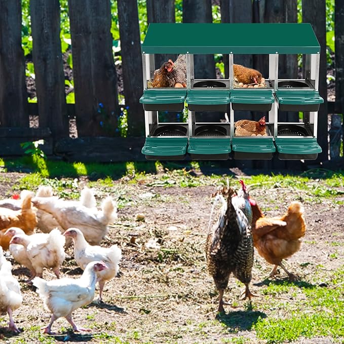 Chicken Nesting Box, 8 Hole 2 Layer Hen Nest Box, Roll Away Eggs Laying Boxes,Cleanable Pull Out Hen Roosting Boxes