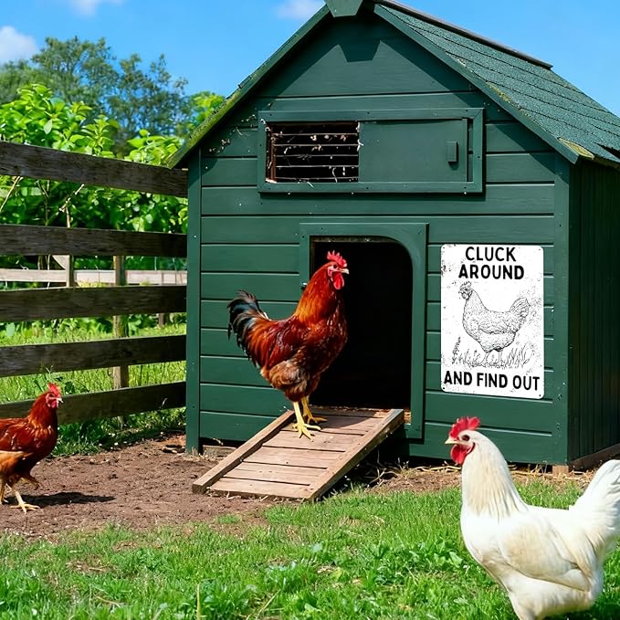 Farmhouse Kitchen Decor Chicken Themed Gifts Funny Quotes Metal Poster Outdoor Chicken Coop Vintage Metal Sign 8×12 Inches For Yard Home