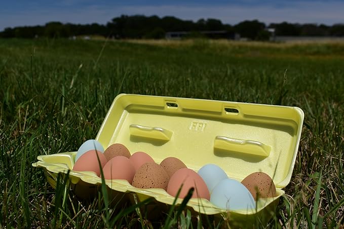 Foam Egg Cartons 25 Pack – Yellow – Made in USA – Reusable 12-Egg Cartons for Chicken Eggs