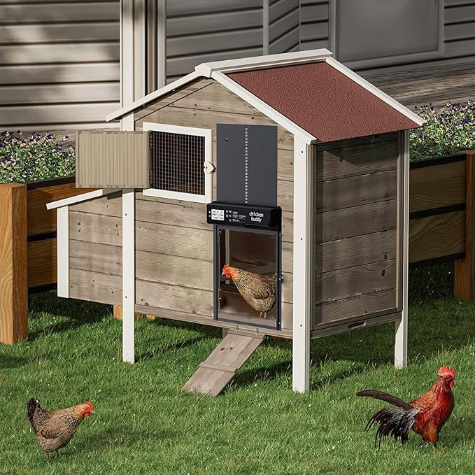 Large Automatic Chicken Coop Door Solar Powered - Aluminum Alloy Auto Chicken Door with Timer, Light Sensor, 4 Modes, LCD Display & Anti-Pinch Tech - for Chickens, Ducks, Geese