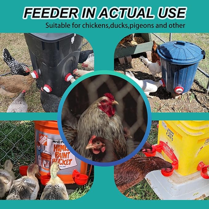 6-Port DIY Chicken Feeder and Waterer Kit, No-Waste Automatic Gravity Poultry Feeder-Spill-Proof, Rain-Proof Design for Buckets, Barrels, Bins, Troughs