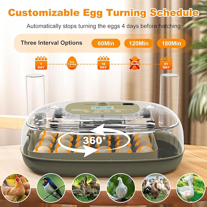 24 Egg Incubators for Hatching,Automatic Egg Turning and Temperature Control Humidity Display,Hatch Day,Automatic Water Refill,360° Viewing for Chicken Quail Duck