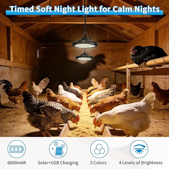 Extra Large Automatic Chicken Coop Door Solar Powered with 2 Timer Lights, 16'' x 12'' Aluminum Auto Chicken Coop Door with Timer, Remote, Anti-Pinch, Weatherproof for Chickens, Ducks