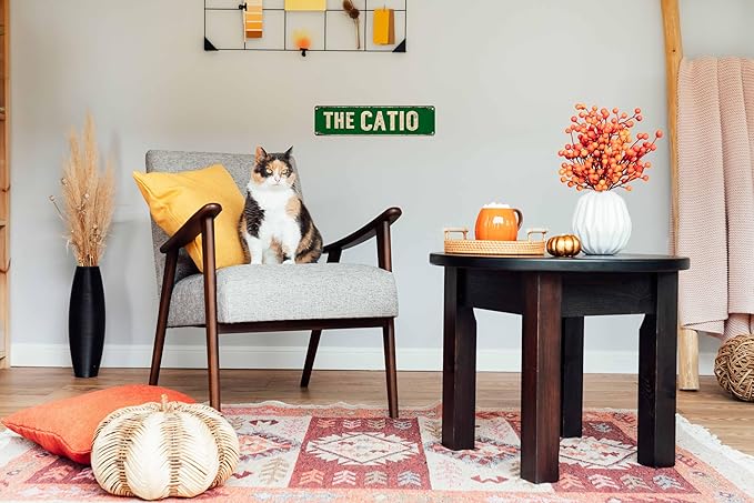 The Catio Metal Sign 4x16in Funny Cat Patio Plaque for Garden House Indoor Wall Nursery Home Decor Gift