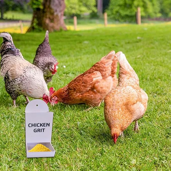 Gravel Feeder - Oyster Shell and Grit Feeder, Versatile Oyster Shell Feeders for Chickens,Hanging Chicken Feeders Trough,Precision Nutrition, Chickens Coop Accessories for Poultry (b)