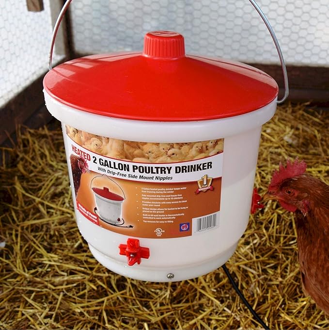 Farm Innovators Heated Waterer with Lid, 60W Hanging Water Dispenser - 2 Gallon Poultry Drinker Bucket with Red Top for Chickens, Turkeys, and Geese