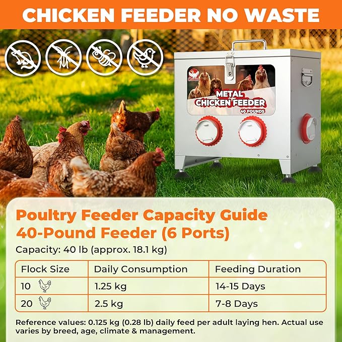 40 lbs 6 Port Galvanized Chicken Feeder with Adjustable Height,Locking Lid&Riveted Handles,Large Capacity Rainproof Automatic Chicken Feeders Silver