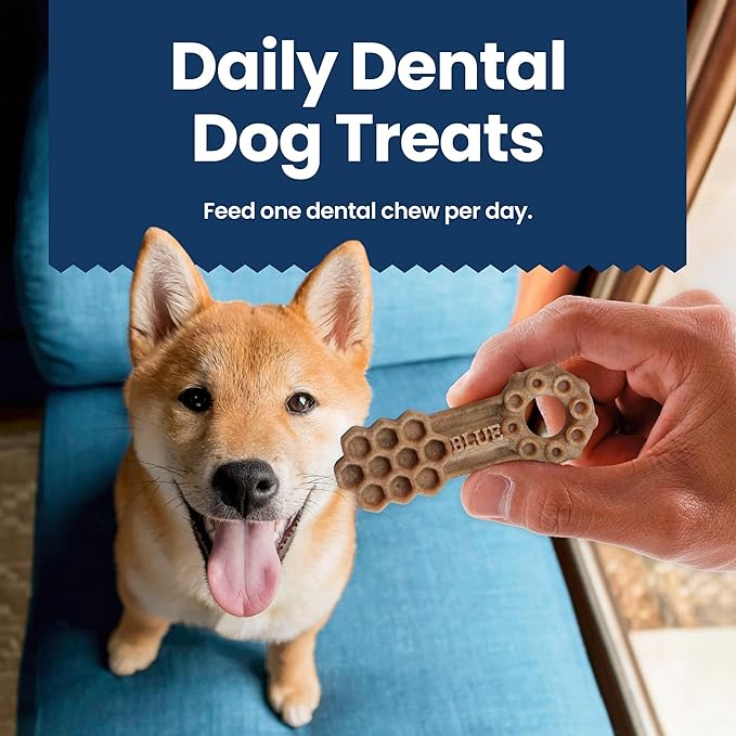 Blue Buffalo Dental Chews Large Natural Dog Treats, Chicken & Spearmint 33-oz Bag (21 Count)