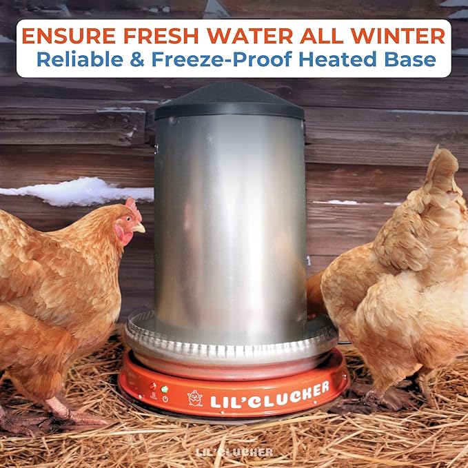 Lil'Clucker Heated Base for Chicken Waterer – Automatic Metal Freeze Proof Heated Chicken Waterer with Heater & LED – Poultry Heated Waterer for Winter (Orange, 11 Inch)